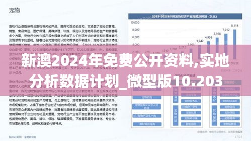 2024新澳好彩免费资料｜2024新澳大利亚幸运彩券免费指南_资源整合策略实施