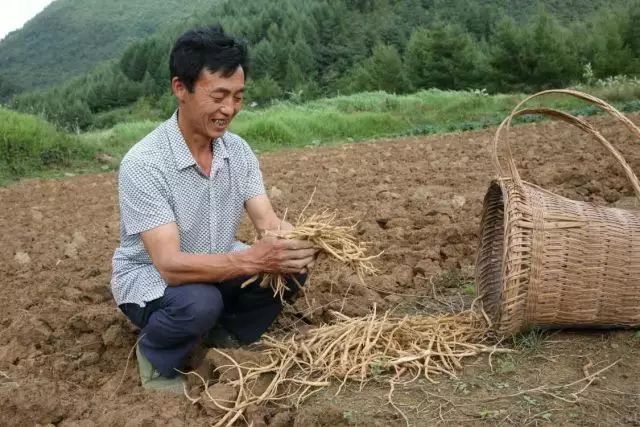 奉节云雾乡最新动态-奉节云雾乡新鲜资讯