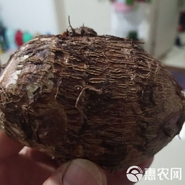 芋头价格最新行情安丘-安丘芋头实时价格动态