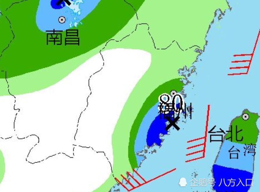 “最新台风暴雨动态报告”