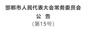 邯郸市政府人事变动大盘点：最新人事调整全解析